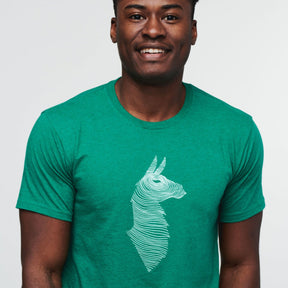 Cotopaxi Topo Llama Organic - T-Shirt Lifestyle Uomo - Neverland Firenze